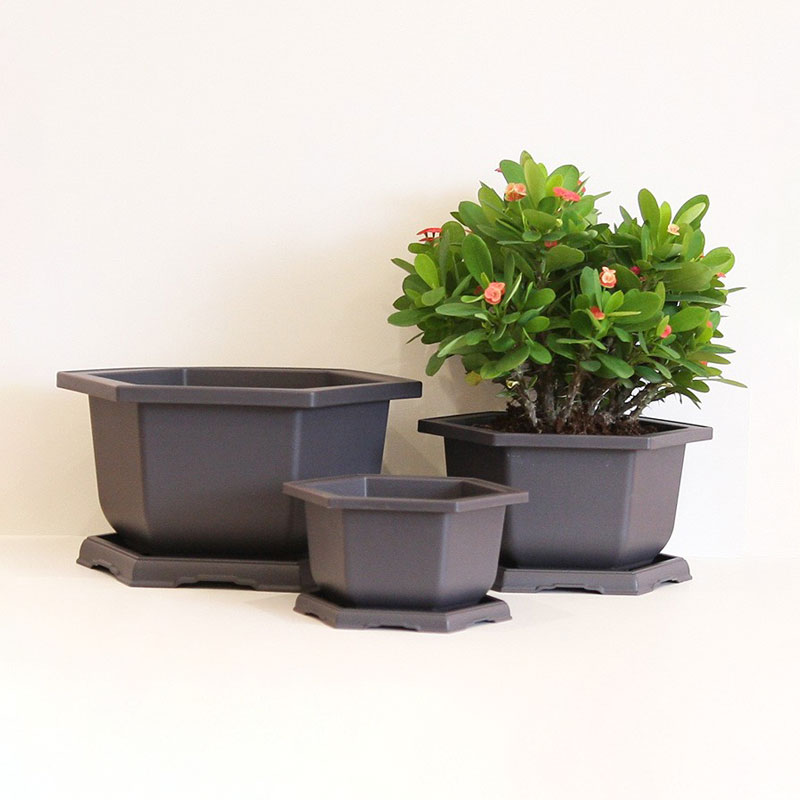 Pot Bonsai Hexagon Kab