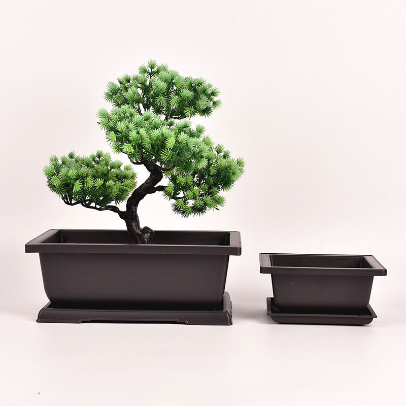 Pot Bonsai Persegi Panjang